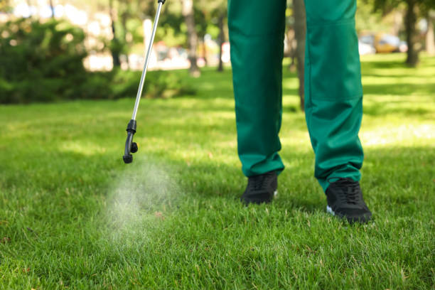 Best Spider Control Near Me  in Oakfield, WI