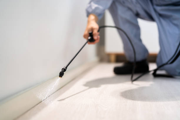 Best Pest Removal Services  in Oakfield, WI