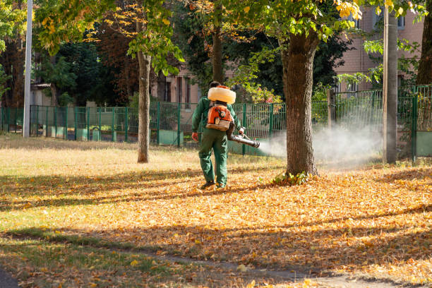 Best Local Pest Control Services  in Oakfield, WI