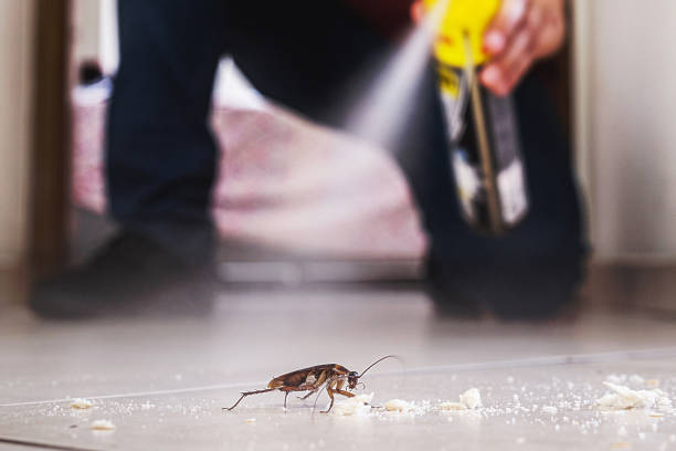 Best Cockroach Control Services  in Oakfield, WI