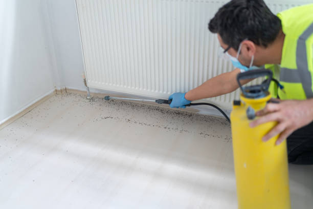 Best Pest Prevention Services  in Oakfield, WI