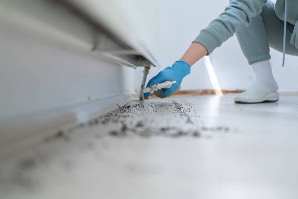 Best Spider Control Near Me  in Oakfield, WI